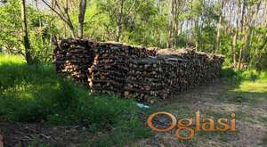 Prodajem ogrevno drvo (bagrem) 140 m3 po ceni 6000 dinara/m3 (bez prevoza)